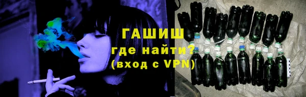 индика Абаза