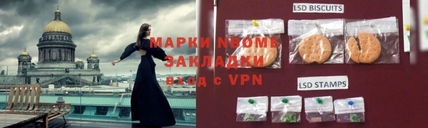 индика Абаза