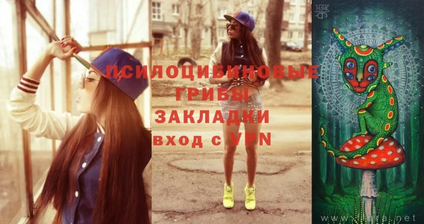МДПВ Михайлов