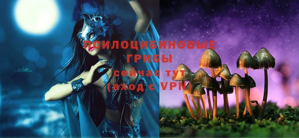 МДПВ Михайлов