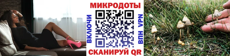 ссылка на мегу tor  Ярославль  Псилоцибиновые грибы ЛСД 