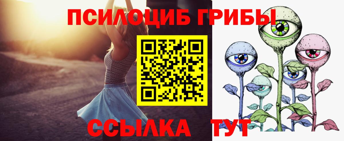 Псилоцибиновые грибы Psilocybe  Вход с VPN  Ярославль 