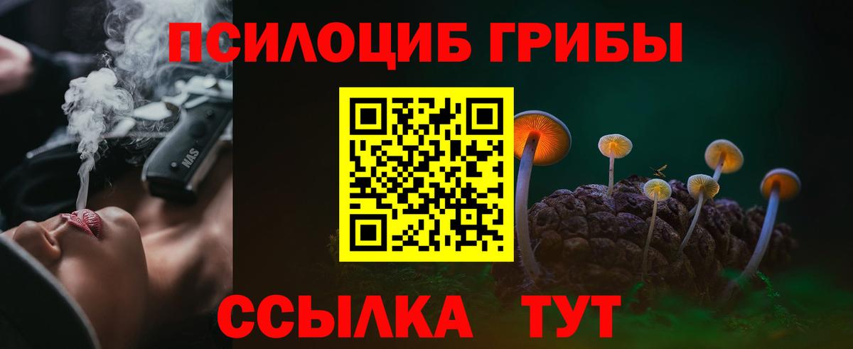 Псилоцибиновые грибы мухоморы Ярославль